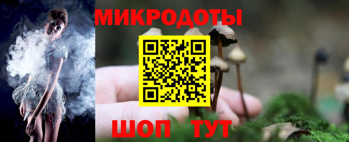 Псилоцибиновые грибы мицелий Магадан